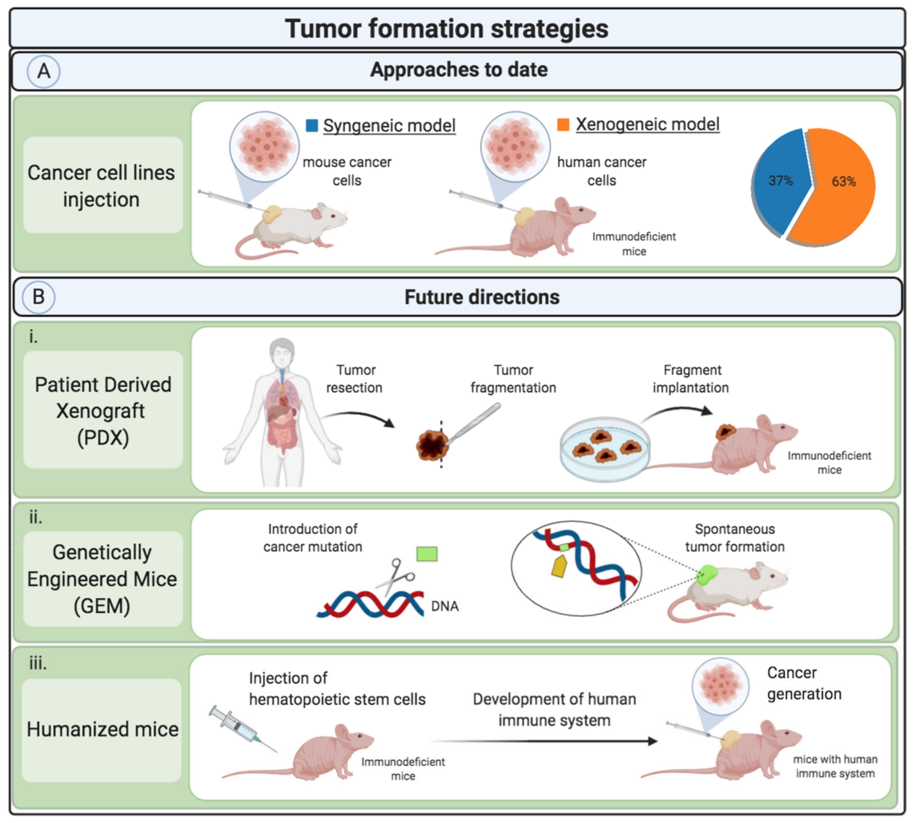 Plasma-Conditioned Liquids as Anticancer Therapies In Vivo: Current State and Future Directions