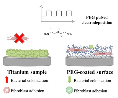 Polyethylene Glycol Pulsed Electrodeposition for the Development of Antifouling Coatings on Titanium