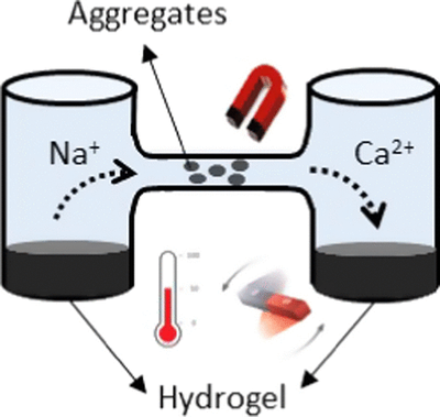 Remote Spatiotemporal Control of a Magnetic and Electroconductive Hydrogel Network via Magnetic Fields for Soft Electronic Applications