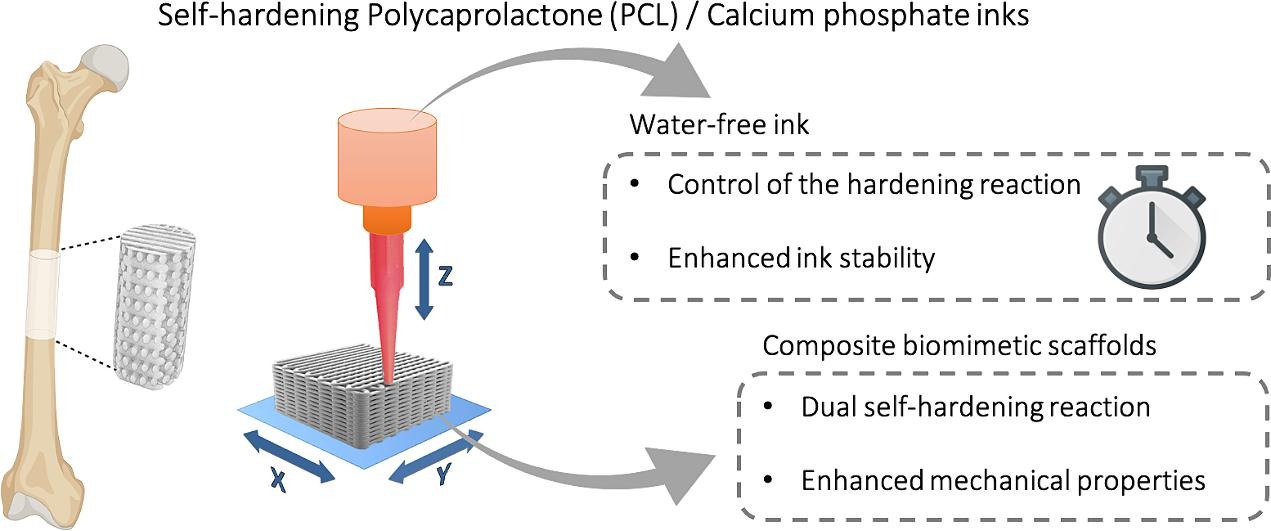 Self-hardening polycaprolactone-calcium phosphate inks for 3D printing of bone scaffolds.jpg