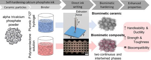 Toughening 3D printed biomimetic hydroxyapatite scaffolds