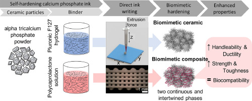 Toughening 3D printed biomimetic hydroxyapatite scaffolds