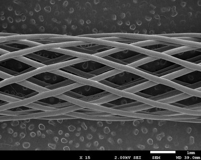 La Dra. Marta Pegueroles consigue financiación "Lavor" para su proyecto BIO-4D